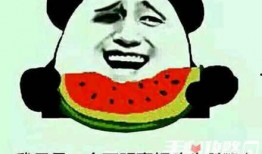 娱乐吃瓜酱聊天梗是什么,揭秘娱乐圈那些鲜为人知的幕后故事