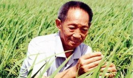 国外爆料袁隆平视频大全,揭秘农业巨擘的传奇人生